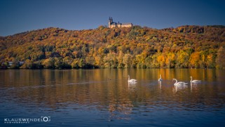 Herbst am Banzer Wald.jpg